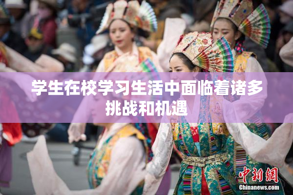 学生在校学习生活中面临着诸多挑战和机遇