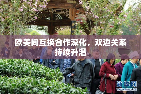 欧美间互换合作深化，双边关系持续升温