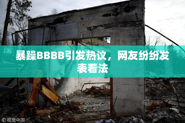 暴躁BBBB引发热议，网友纷纷发表看法