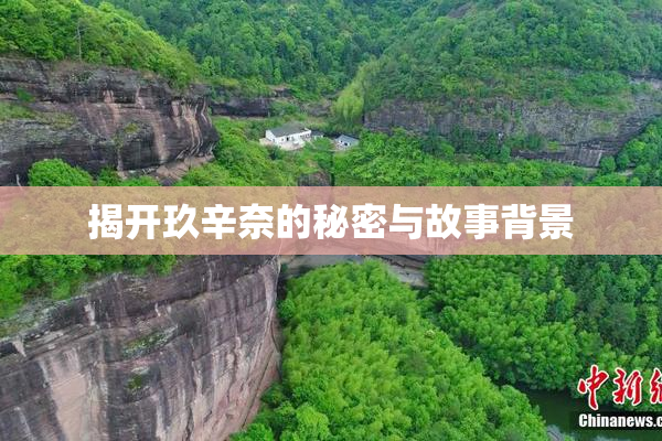 揭开玖辛奈的秘密与故事背景