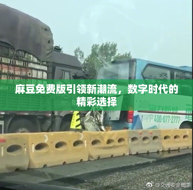 麻豆免费版引领新潮流，数字时代的精彩选择