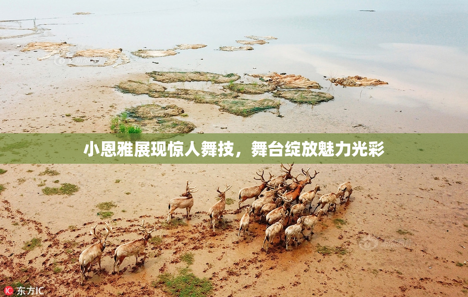 小恩雅展现惊人舞技，舞台绽放魅力光彩