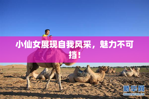 小仙女展现自我风采，魅力不可挡！