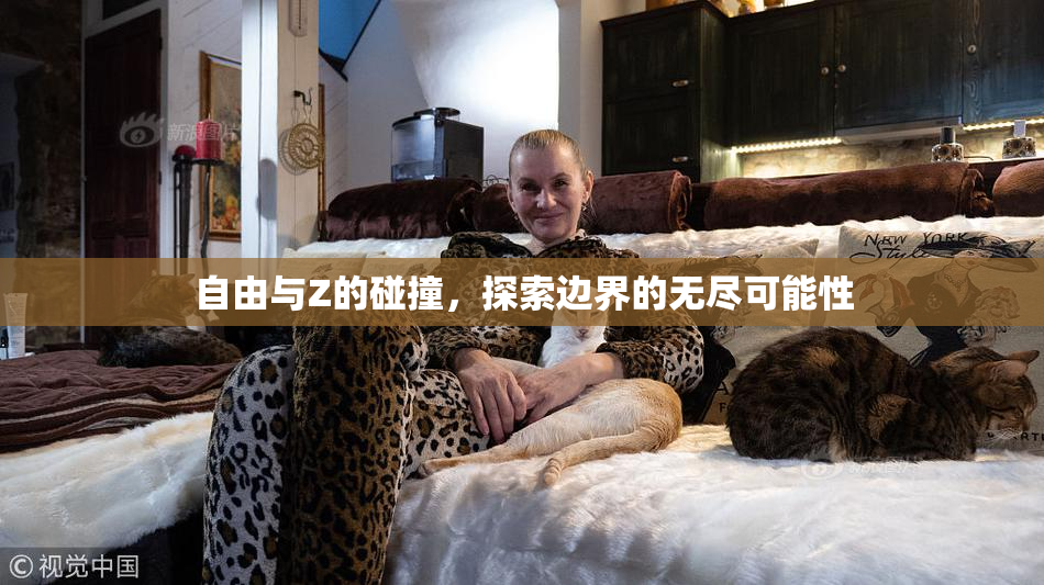 自由与Z的碰撞，探索边界的无尽可能性