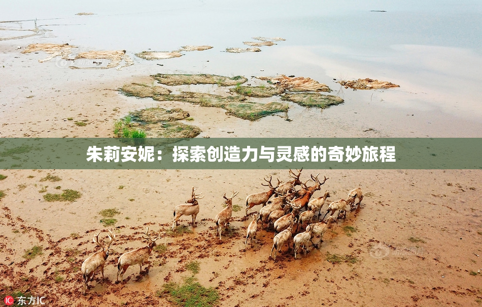 朱莉安妮：探索创造力与灵感的奇妙旅程