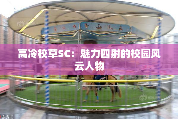 高冷校草SC：魅力四射的校园风云人物