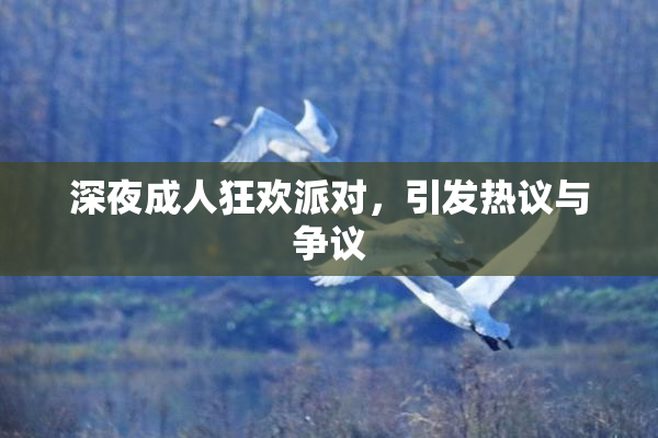 深夜成人狂欢派对，引发热议与争议