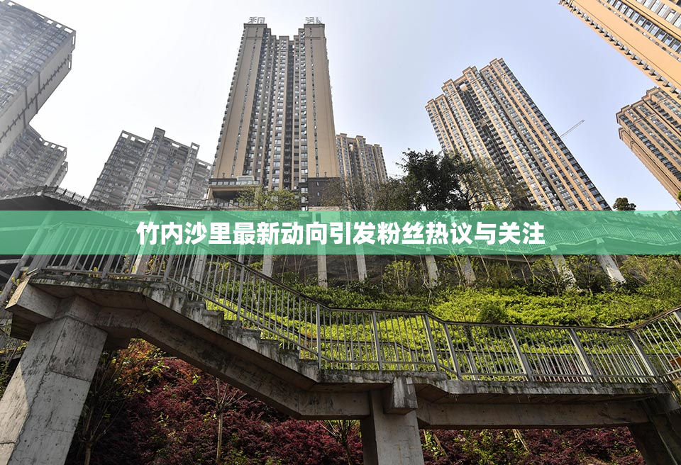 竹内沙里最新动向引发粉丝热议与关注