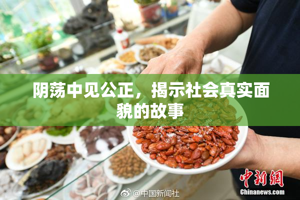 阴荡中见公正，揭示社会真实面貌的故事