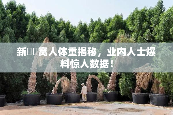 新妺妺窝人体重揭秘，业内人士爆料惊人数据！