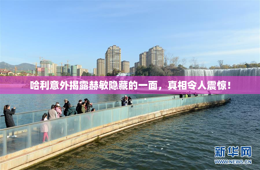 哈利意外揭露赫敏隐藏的一面，真相令人震惊！