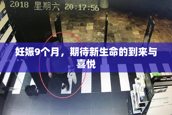 妊娠9个月，期待新生命的到来与喜悦