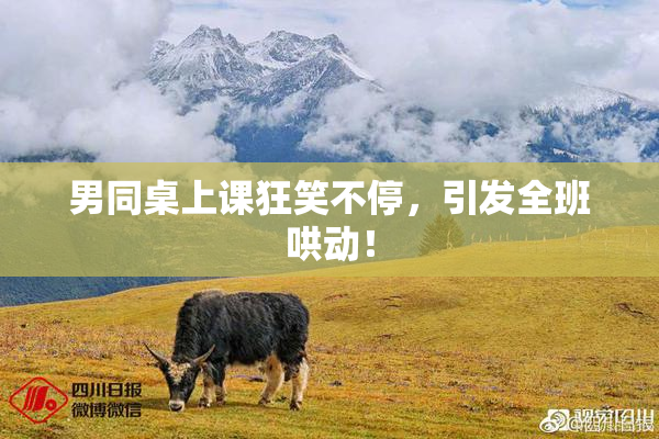 男同桌上课狂笑不停，引发全班哄动！