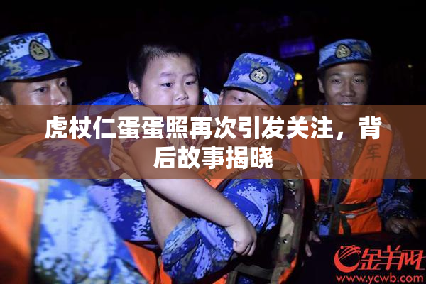 虎杖仁蛋蛋照再次引发关注，背后故事揭晓
