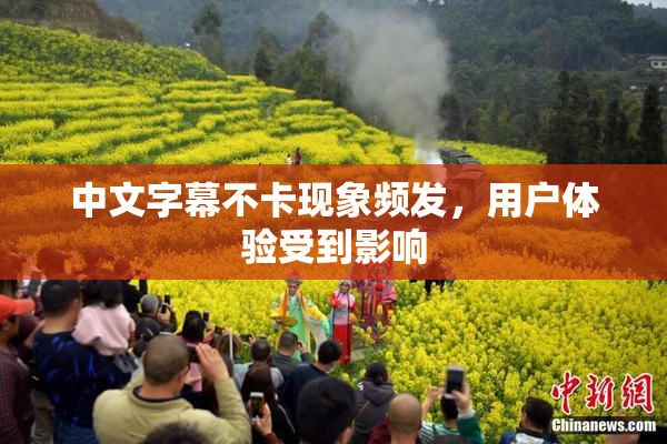 中文字幕不卡现象频发，用户体验受到影响