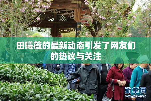 田曦薇的最新动态引发了网友们的热议与关注