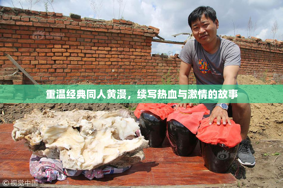 重温经典同人黄漫，续写热血与激情的故事