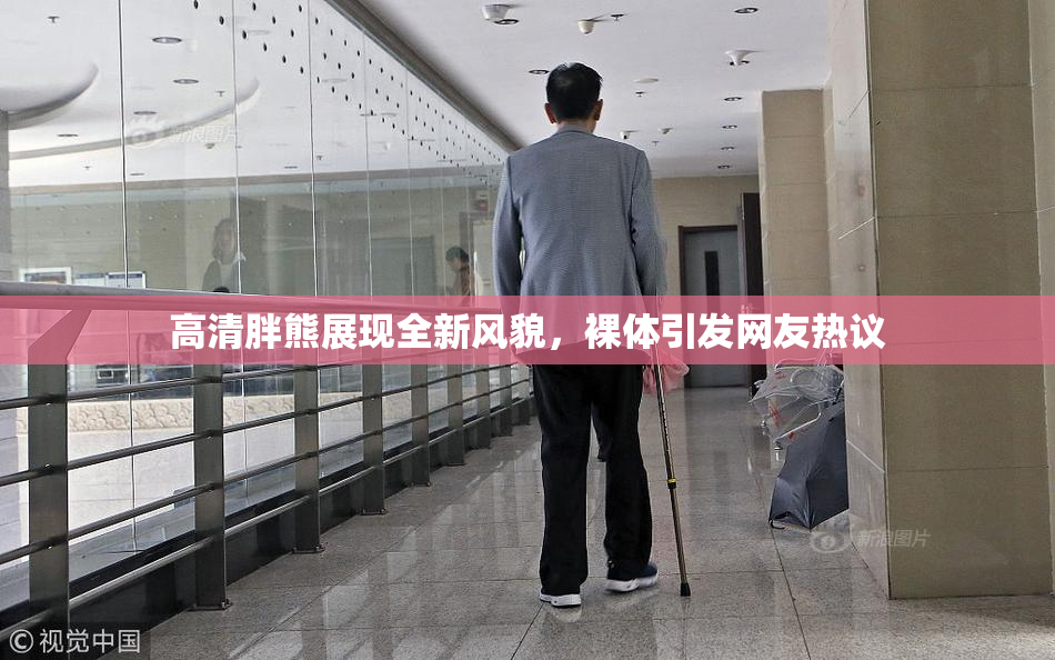 高清胖熊展现全新风貌，裸体引发网友热议