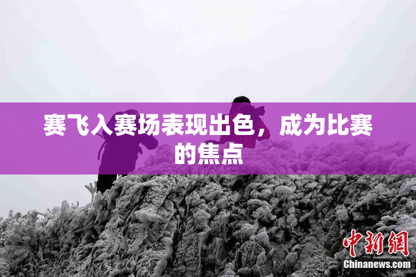 赛飞入赛场表现出色，成为比赛的焦点