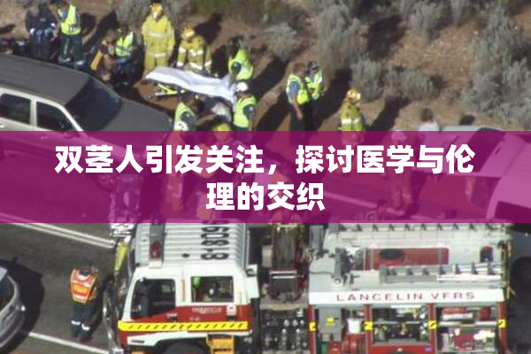 双茎人引发关注，探讨医学与伦理的交织