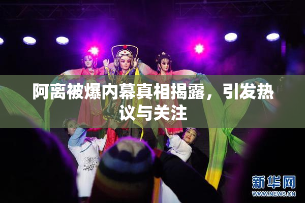 阿离被爆内幕真相揭露，引发热议与关注