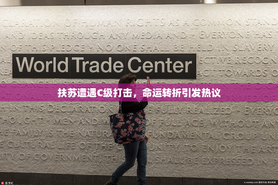 扶苏遭遇C级打击，命运转折引发热议