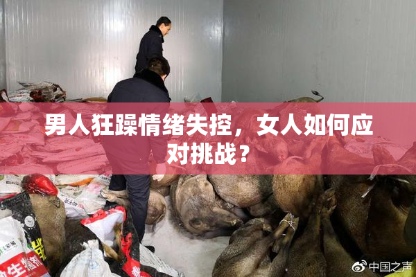 男人狂躁情绪失控，女人如何应对挑战？