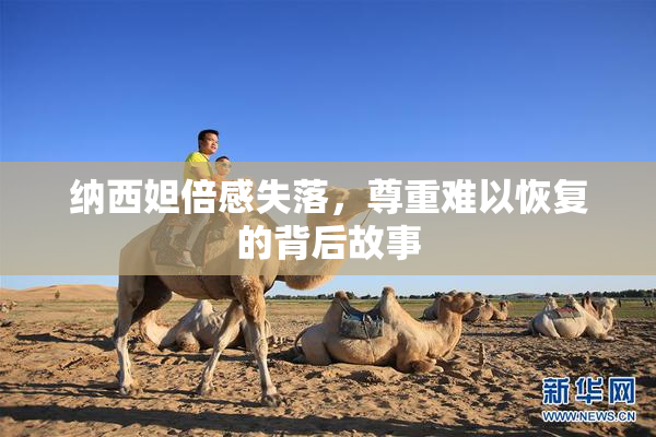 纳西妲倍感失落，尊重难以恢复的背后故事