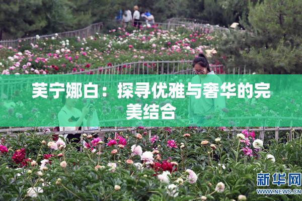 芙宁娜白：探寻优雅与奢华的完美结合