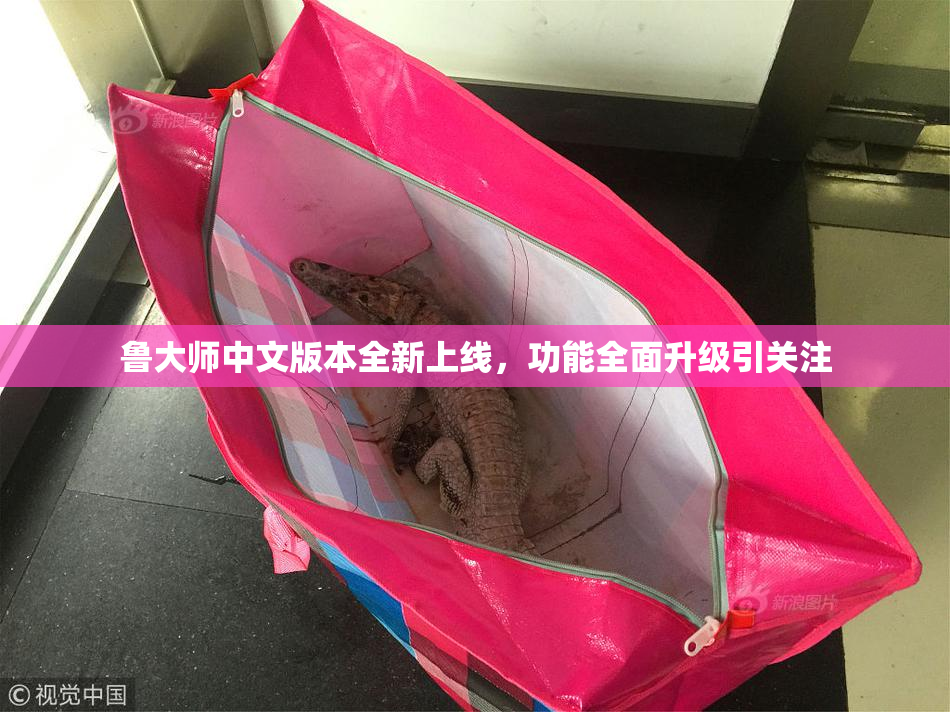 鲁大师中文版本全新上线，功能全面升级引关注