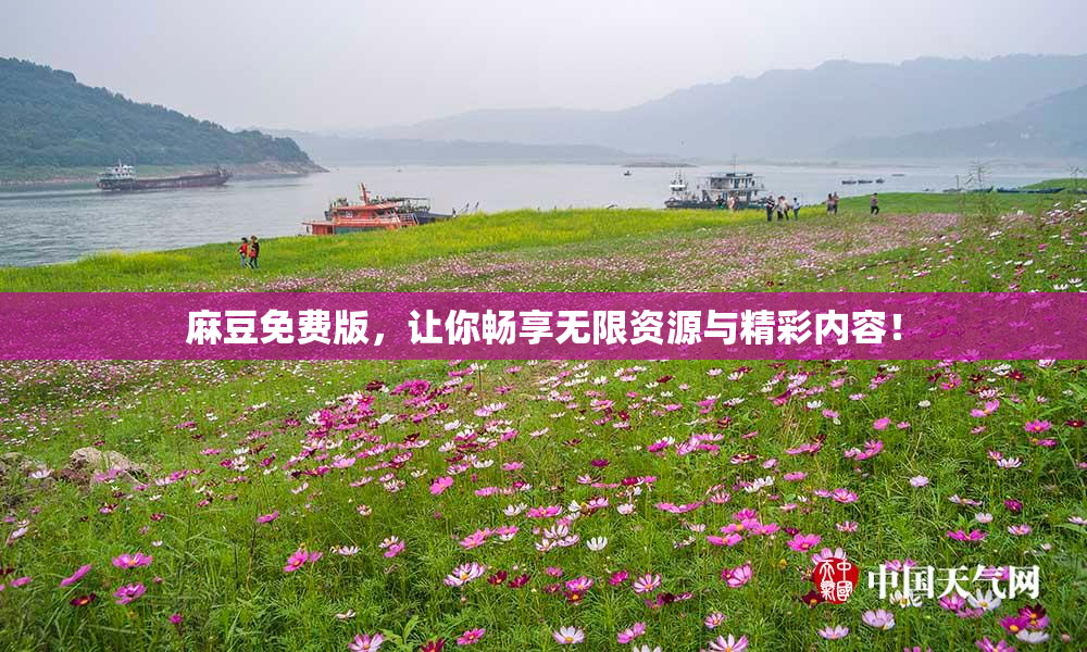 麻豆免费版，让你畅享无限资源与精彩内容！
