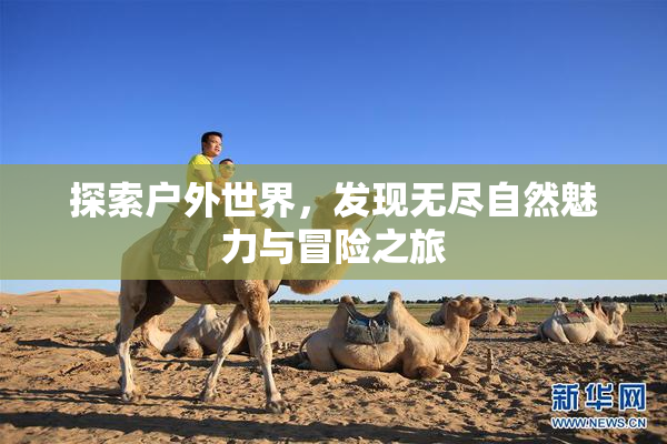 探索户外世界，发现无尽自然魅力与冒险之旅