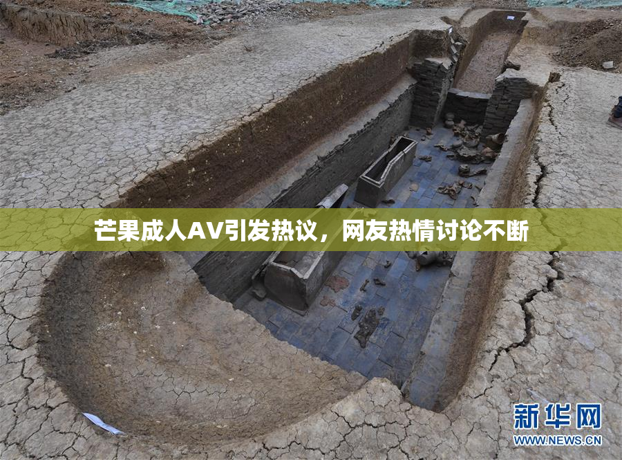 芒果成人AV引发热议，网友热情讨论不断