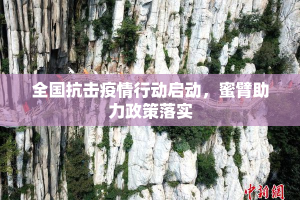全国抗击疫情行动启动，蜜臂助力政策落实