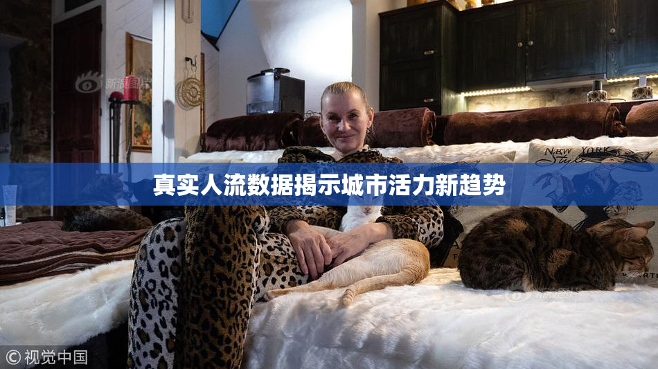 真实人流数据揭示城市活力新趋势
