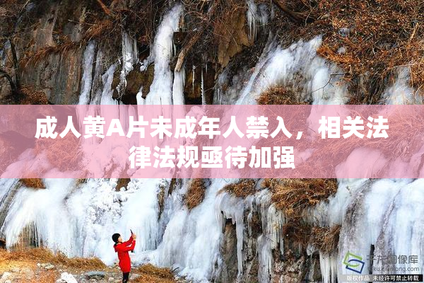 成人黄A片未成年人禁入，相关法律法规亟待加强