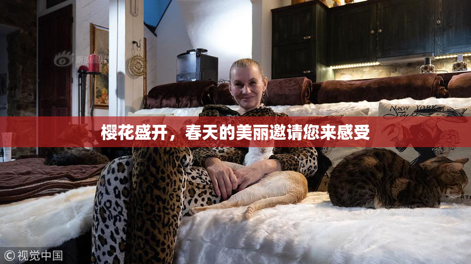樱花盛开，春天的美丽邀请您来感受