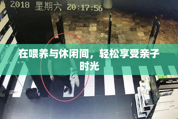 在喂养与休闲间，轻松享受亲子时光