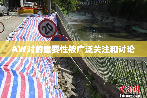 AW对的重要性被广泛关注和讨论