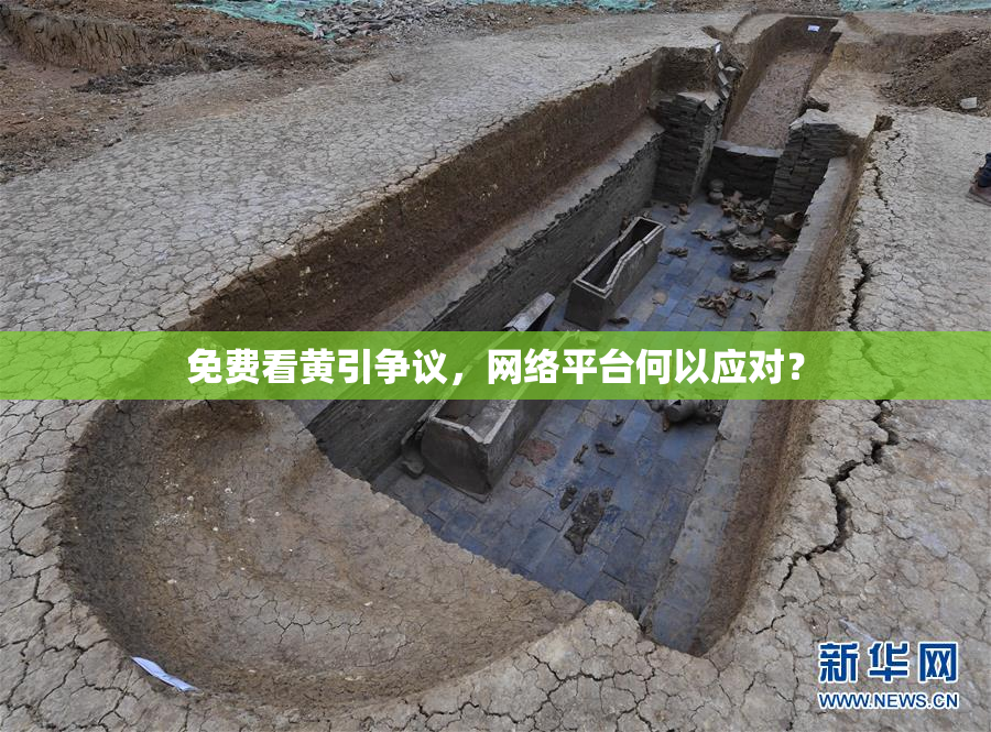 免费看黄引争议，网络平台何以应对？