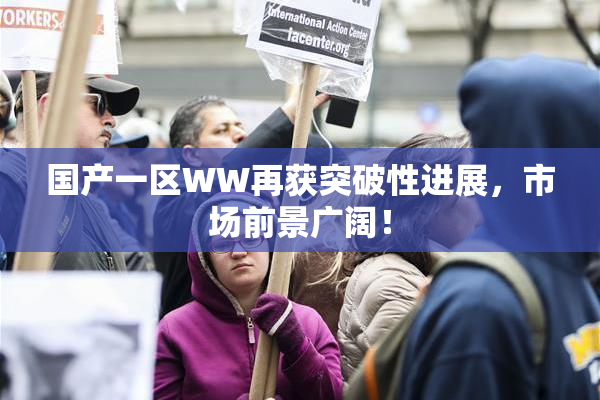 国产一区WW再获突破性进展，市场前景广阔！