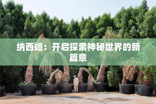 纳西妲：开启探索神秘世界的新篇章