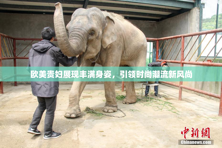 欧美贵妇展现丰满身姿，引领时尚潮流新风尚