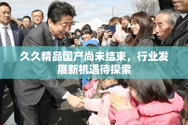 久久精品国产尚未结束，行业发展新机遇待探索