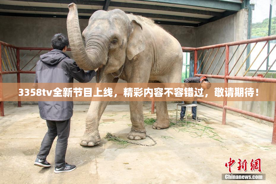 3358tv全新节目上线，精彩内容不容错过，敬请期待！