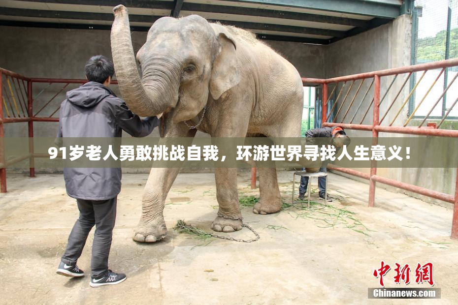 91岁老人勇敢挑战自我，环游世界寻找人生意义！