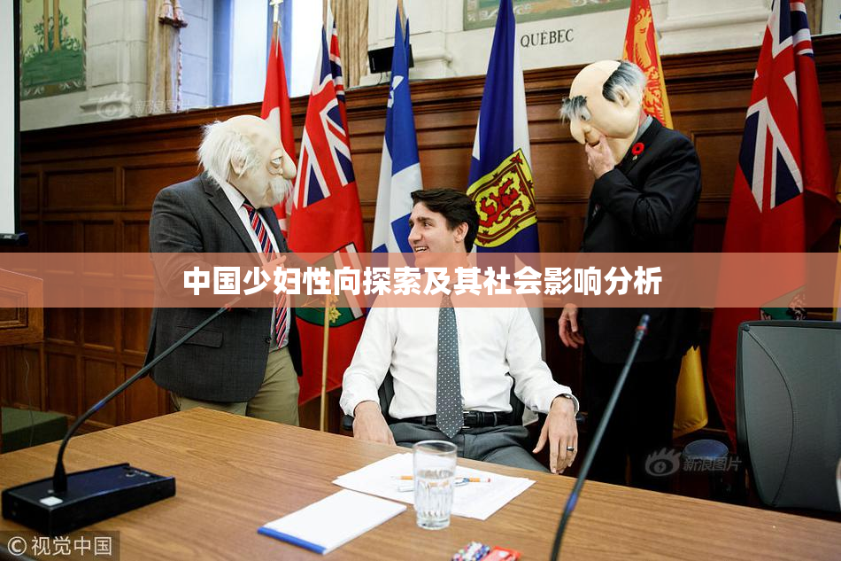 中国少妇性向探索及其社会影响分析