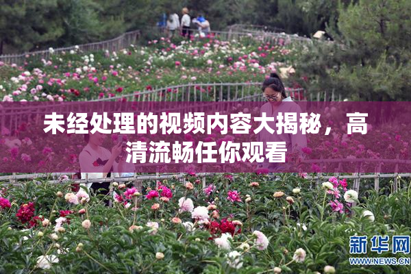 未经处理的视频内容大揭秘，高清流畅任你观看