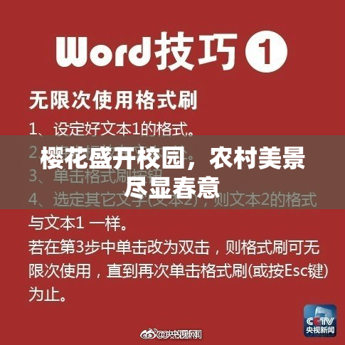 樱花盛开校园，农村美景尽显春意