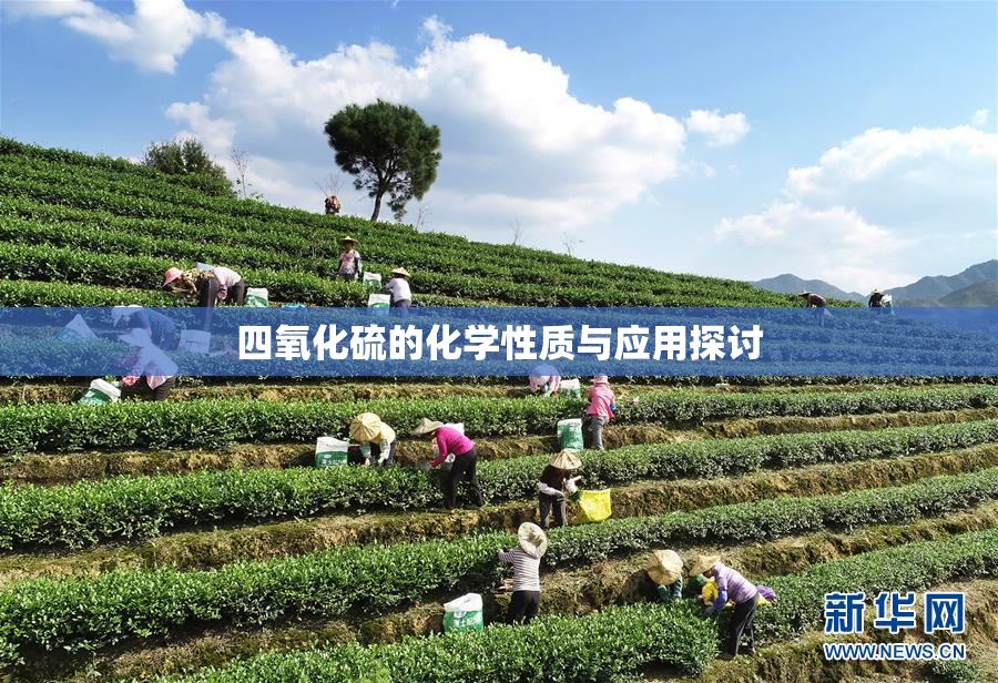 四氧化硫的化学性质与应用探讨